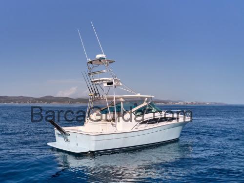 Bertram 360 Open scheda tecnica e recensioni